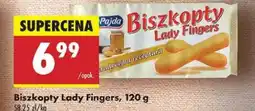 Biedronka Biszkopty lady fingers San pajda oferta