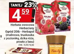 Hitpol Herbata owocowa Herbaciany Ogród oferta