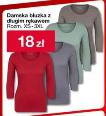 Woolworth Bluzka damska oferta