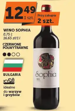 Euro Sklep Wino czerwone Sophia oferta