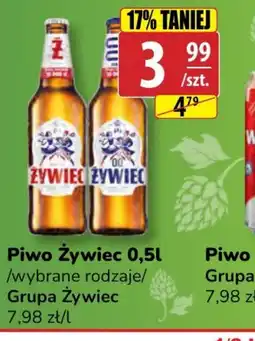 API MARKET Piwo Zywiec 0,5l oferta