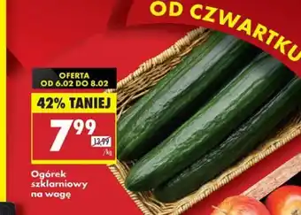 Biedronka Ogórki szklarniowe oferta