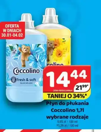 Delfin Płyn do płukania Coccolino oferta