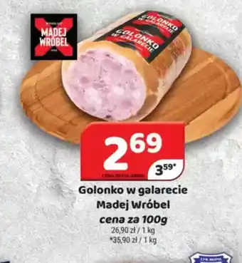 Delfin Gołąbki w galarecie Madej Wróbel oferta