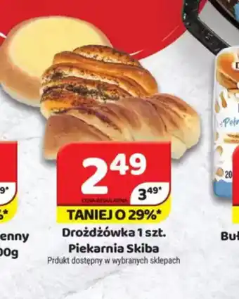 Delfin Drożdżówka oferta