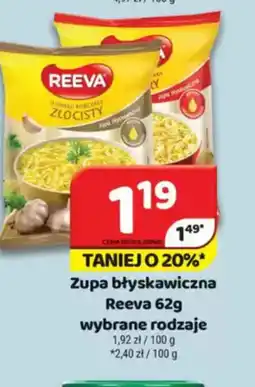 Delfin Zupa błyskawicza ReeVa oferta