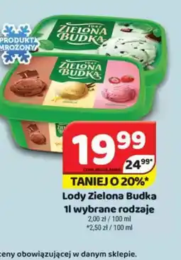 Delfin Lody Zielona Budka oferta