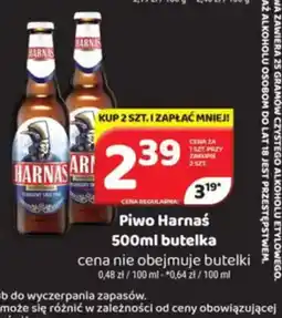 Delfin Piwo Harnaś oferta