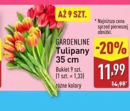 ALDI Bukiet tulipanów Gardenline oferta