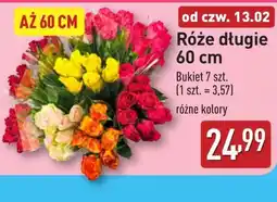 ALDI Bukiet róż oferta