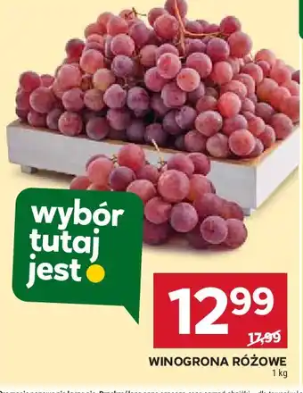 Stokrotka Winogrona czerwone oferta