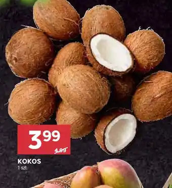 Stokrotka Kokos oferta