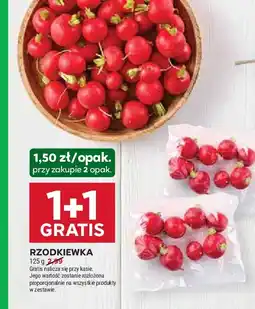 Stokrotka Rzodkiewka oferta