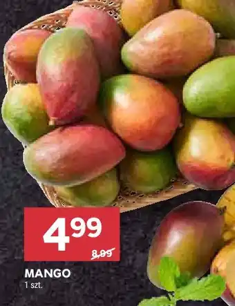 Stokrotka Mango oferta