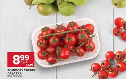 Stokrotka Pomidory cherry gałązka oferta