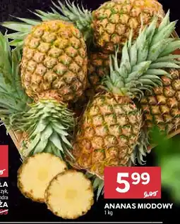 Stokrotka Ananas miodowy oferta