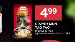 Stokrotka Grzyby mun Tao tao oferta