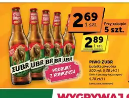 Groszek Piwo Żubr oferta