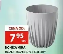 Auchan Donica mira oferta