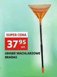 Auchan Grabie wachlarzowe bradas oferta