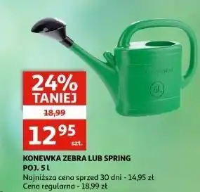 Auchan Konewka spring 5 l zielona oferta