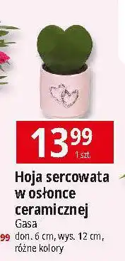 E.Leclerc Hoja sercowata w osłonce ceramicznej 6 cm oferta