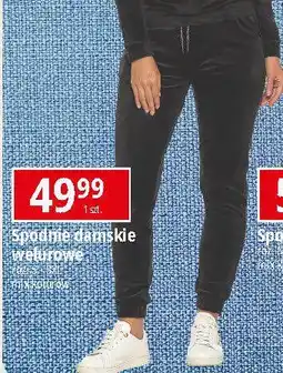 E.Leclerc Spodnie damskie welurowe s-3xl oferta