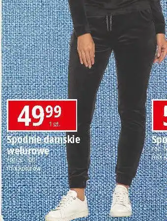 E.Leclerc Spodnie damskie welurowe s-3xl oferta