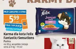 E.Leclerc Karma dla kota kurczak + łosoś Purina Felix Junior oferta