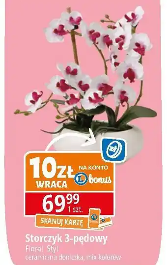 E.Leclerc Storczyk 3 pędowy sztuczny Floral Styl oferta