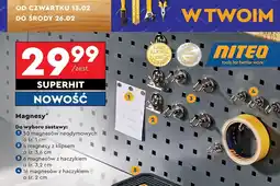 Biedronka Magnesy z haczykiem śr. 2 cm Niteo Tools oferta