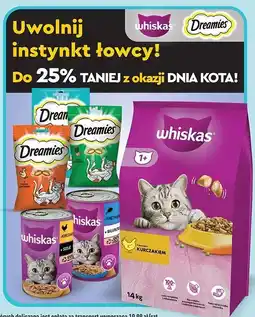 Biedronka Przysmak dla kota z nutą kocimiętki Dreamies oferta