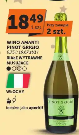 Groszek Wino wytrawne Pinot Grigio oferta