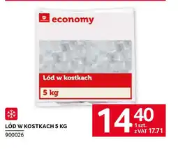 Selgros Lód w kostkach oferta