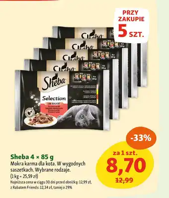 Maxi Zoo Sheba Mokra karma dla kota oferta