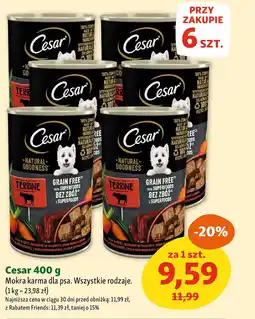 Maxi Zoo Cesar Mokra karma dla psa oferta