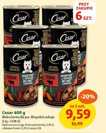 Maxi Zoo Cesar Mokra karma dla psa oferta