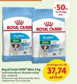 Maxi Zoo Royal Canin SHN Sucha karma dla psa oferta