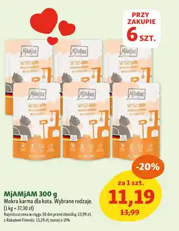 Maxi Zoo MjAMJAM Mokra karma dla kota oferta