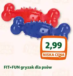 Maxi Zoo FIT+FUN gryzak dla psów oferta