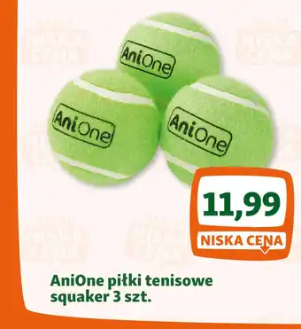 Maxi Zoo AniOne piłki tenisowe squaker oferta