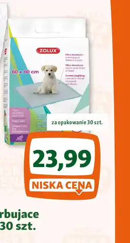 Maxi Zoo ZOLUX maty absorbujace oferta