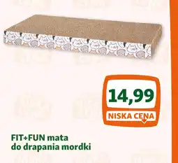 Maxi Zoo FIT+FUN mata do drapania mordki oferta