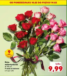 Kaufland Róże 40 cm oferta