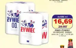 Primus Piwo żywiec oferta