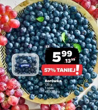 Netto Borówki Z Zieleniaka Netto oferta