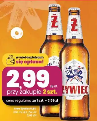 EMMA market Piwo Żywiec 5,5% But, Zw. Gz oferta