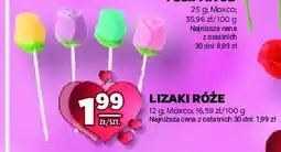 Stokrotka Lizaki róże Maxco oferta