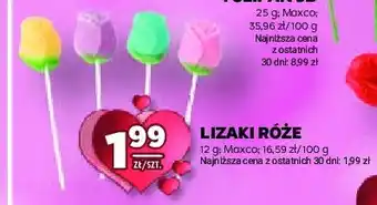 Stokrotka Lizaki róże Maxco oferta