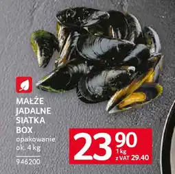 Selgros Małże jadalne siatka box oferta